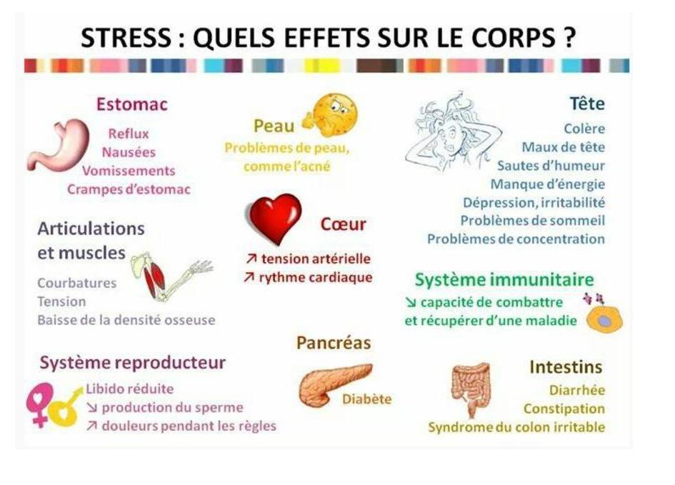bien être: effets du stress sur le corps