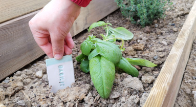 poterie pour enfant etiquette legume ceramique