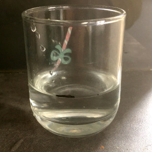 test porosité fini a 1210°C