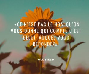 image activité créative