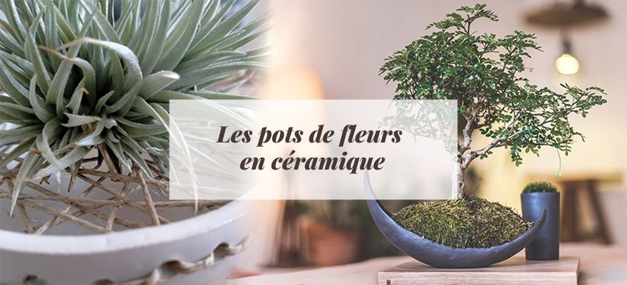 pot de fleur céramique