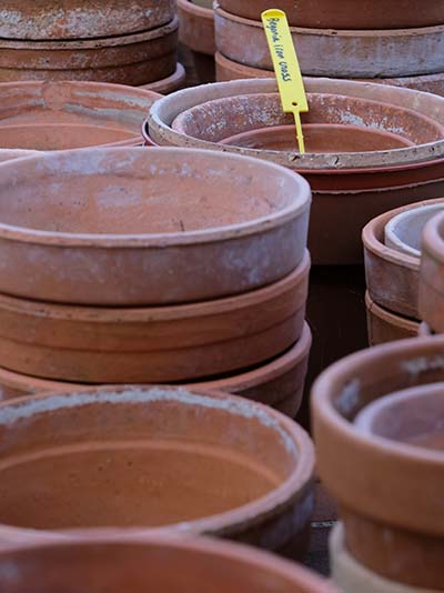 pot en terre cuite