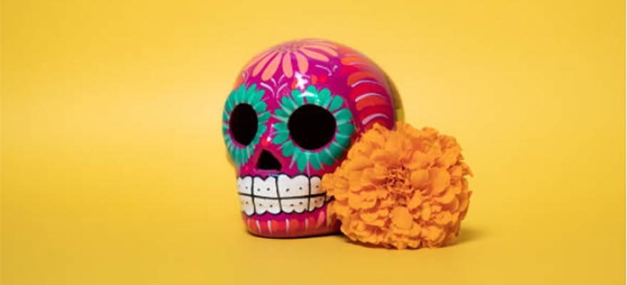 Comment tester la nocivité de nos émaux ?