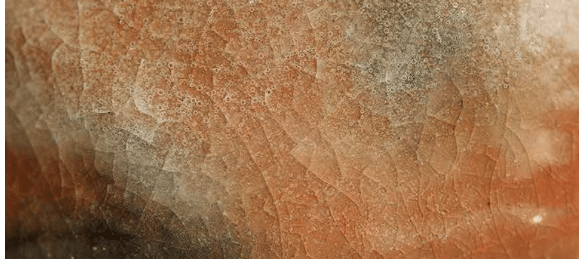 Coefficient de dilatation thermique céramique