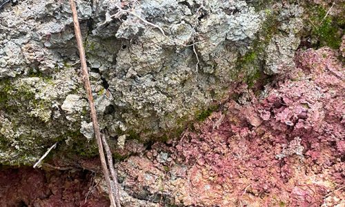 Les 8 erreurs à ne pas commettre pour apprivoiser l’argile sauvage