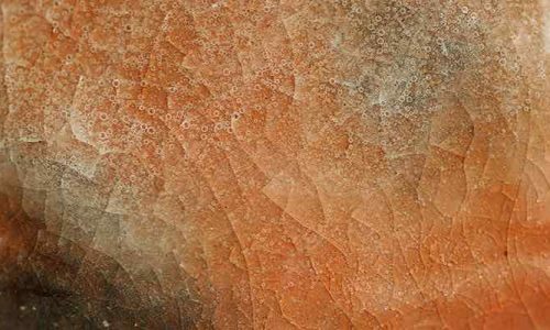 Le coefficient de dilatation thermique en céramique