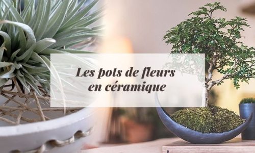 pot de fleur céramique